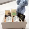 Baby Box with Blue Teddy